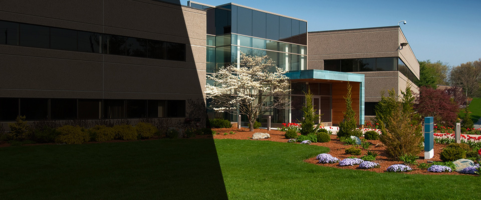 Rochester Landscapers