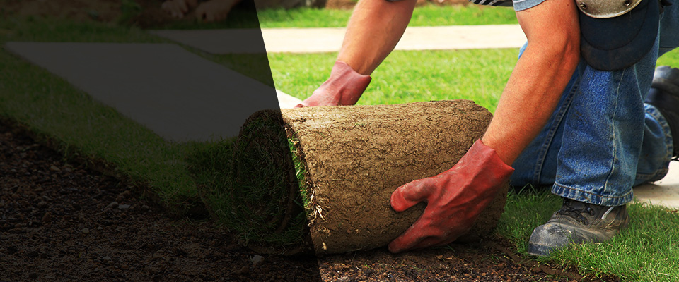 Rochester Landscapers